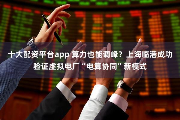 十大配资平台app 算力也能调峰？上海临港成功验证虚拟电厂“电算协同”新模式