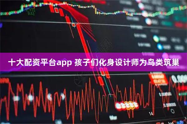 十大配资平台app 孩子们化身设计师为鸟类筑巢