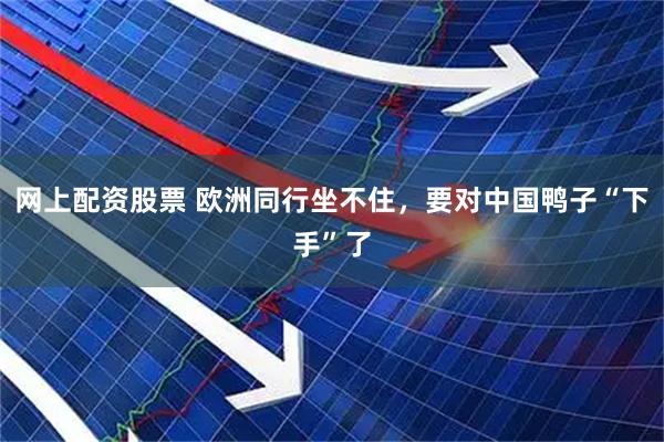 网上配资股票 欧洲同行坐不住,要对中国鸭子“下手”了